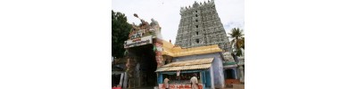சுசீந்திரம்
